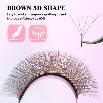 Qeelasee Brown Color 5D-W 0.07mm Eyelash Extension