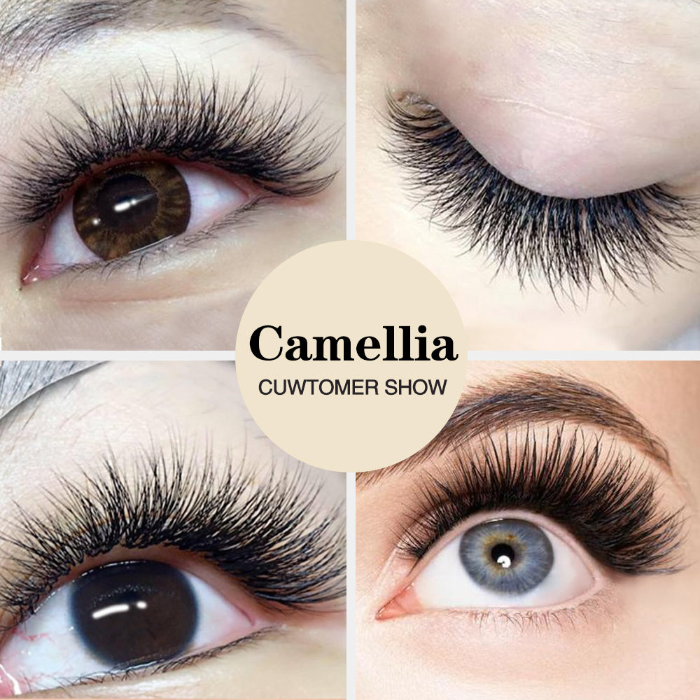 Camellia Eyelash 3D-6D 0.07 Volume Mixed Length in One Lash Strip